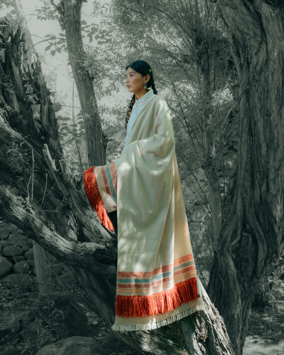 Cashmere Shawls