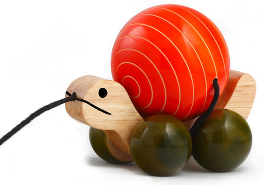 Turtle Pull Toy