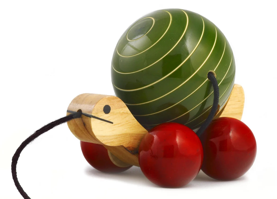 Turtle Pull Toy