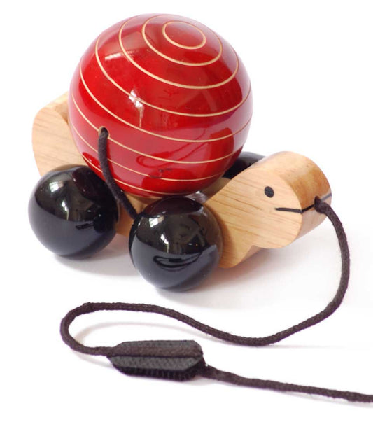 Turtle Pull Toy