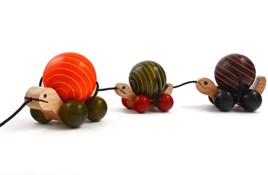 Turtle Train Pull Toy - Mama, Papa and Me